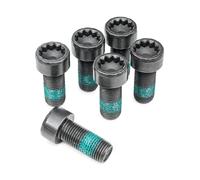 Set di viti, volano LUK 411 0200 10