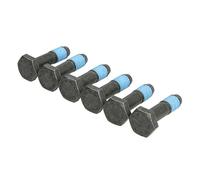 Set di viti, volano LUK 411 0239 10