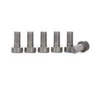 Set di viti, volano LUK 411 0256 10