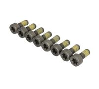 Luk 411 0259 10 - Set di viti volano