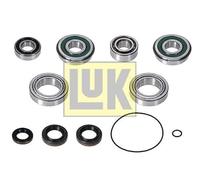 Kit di riparazione, cambio manuale INA 462 0334 10