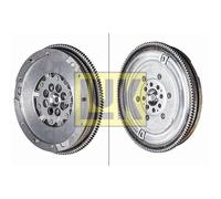 LuK Volano Doppia Massa Adatto A per BMW 5er Touring E61 525d