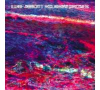 Luke Abbott - Holkham Drones