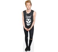 Luke Hemmings (Black Outfit) mini formato