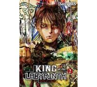 Luke Hutton Noriko Me King of the Labyrinth, Vol. 2 (light no (Copertina rigida)