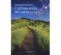 L'ultima stella del carro