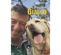 L'ultimo anno giallo