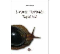 Lumache tropicali. Tropical snail