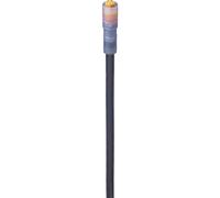 Lumberg Automation 934871013-1 - Cavo di collegamento per sensore/attuatore M8, dritto, 2 m, numero di poli: 5 1