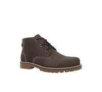 Lumberjack Landis, Stivaletti Bassi con Lacci Uomo, Marrone, 41 EU