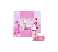 Lumene Nordic Bloom Berry Smooth Firming Set e Cofanetti