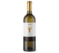 Lumière 2024 DOC Sicilia Chardonnay Biologico Fondo Antico