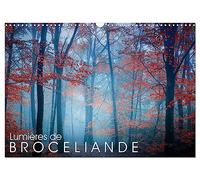 Lumières de Brocéliande (Calendrier mural 2027 DIN A3 vertical), CALVENDO calendrier mensuel: Images de la forêt de Brocéliande