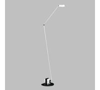 Lumina Daphine lampada da terra, GY6.35, 02C02OP20, Daphine [Lampade per Interni > Lampade da Terra]