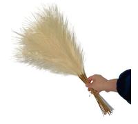 LuminaCreek Pampas Grass Grande 5/10/20 Pezzi Artificiale Pampas Grass Bouquet Festa Matrimonio Decorazione Casa Pianta Simulata Fai da Te Finto Fiore Canna Decorazione(Beige,5PCS)