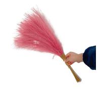 LuminaCreek Pampas Grass Grande 5/10/20 Pezzi Artificiale Pampas Grass Bouquet Festa Matrimonio Decorazione Casa Pianta Simulata Fai da Te Finto Fiore Canna Decorazione(Dk Pink,5PCS)