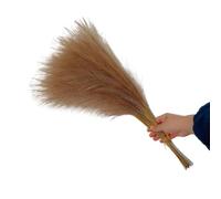 LuminaCreek Pampas Grass Grande 5/10/20 Pezzi Artificiale Pampas Grass Bouquet Festa Matrimonio Decorazione Casa Pianta Simulata Fai da Te Finto Fiore Canna Decorazione(Coffee,5PCS)