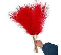 LuminaCreek Pampas Grass Grande 5/10/20 Pezzi Artificiale Pampas Grass Bouquet Festa Matrimonio Decorazione Casa Pianta Simulata Fai da Te Finto Fiore Canna Decorazione(Red,5PCS)