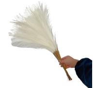 LuminaCreek Pampas Grass Grande 5/10/20 Pezzi Artificiale Pampas Grass Bouquet Festa Matrimonio Decorazione Casa Pianta Simulata Fai da Te Finto Fiore Canna Decorazione(Milky White,5PCS)