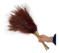 LuminaCreek Pampas Grass Grande 5/10/20 Pezzi Artificiale Pampas Grass Bouquet Festa Matrimonio Decorazione Casa Pianta Simulata Fai da Te Finto Fiore Canna Decorazione(Brown,5PCS)