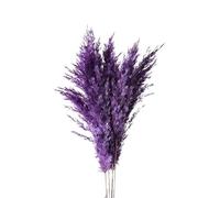 LuminaCreek Pampas Grass Large 45cm Natural Fluffy Pampas Secca Vere Erbe Multicolori di Lusso Bouquet for Matrimoni Feste Casa Interni Decorazioni Foto Accessori(Purple,8-10pcs)