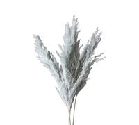 LuminaCreek Pampas Grass Large 45cm Natural Fluffy Pampas Secca Vere Erbe Multicolori di Lusso Bouquet for Matrimoni Feste Casa Interni Decorazioni Foto Accessori(Light Grey,8-10pcs)
