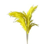 LuminaCreek Pampas Grass Large 45cm Natural Fluffy Pampas Secca Vere Erbe Multicolori di Lusso Bouquet for Matrimoni Feste Casa Interni Decorazioni Foto Accessori(Yellow,8-10pcs)