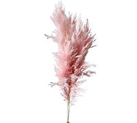 LuminaCreek Pampas Grass Large 45cm Natural Fluffy Pampas Secca Vere Erbe Multicolori di Lusso Bouquet for Matrimoni Feste Casa Interni Decorazioni Foto Accessori(Pink,12-15pcs)