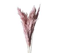LuminaCreek Pampas Grass Large 45cm Natural Fluffy Pampas Secca Vere Erbe Multicolori di Lusso Bouquet for Matrimoni Feste Casa Interni Decorazioni Foto Accessori(Plum,4-5pcs)