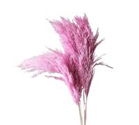 LuminaCreek Pampas Grass Large 45cm Natural Fluffy Pampas Secca Vere Erbe Multicolori di Lusso Bouquet for Matrimoni Feste Casa Interni Decorazioni Foto Accessori(Rosy,4-5pcs)