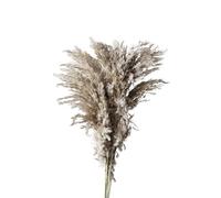 LuminaCreek Pampas Grass Large 45cm Natural Fluffy Pampas Secca Vere Erbe Multicolori di Lusso Bouquet for Matrimoni Feste Casa Interni Decorazioni Foto Accessori(Original,20-25pcs)