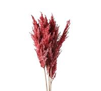 LuminaCreek Pampas Grass Large 45cm Natural Fluffy Pampas Secca Vere Erbe Multicolori di Lusso Bouquet for Matrimoni Feste Casa Interni Decorazioni Foto Accessori(Red,16-20pcs)