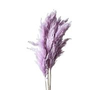LuminaCreek Pampas Grass Large 45cm Natural Fluffy Pampas Secca Vere Erbe Multicolori di Lusso Bouquet for Matrimoni Feste Casa Interni Decorazioni Foto Accessori(Pink Purple,4-5pcs)