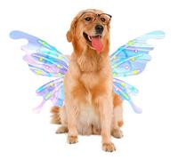 luminose della farfalla - elettrici luminosi per feste con LED | delle fate dei bambini | Per trucchi spettacoli sul palcoscenico cosplay, feste, festival, parchi, esterni, interni