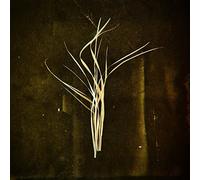 Lumisokea - Mnemosyne