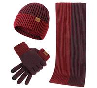 LumiSyne Invernali 3 Pezzo Cappello Sciarpa Guanti Per Uomo Donna Moda Semplice Jacquard Bicolore Guanti Touch Screen Sciarpa Lunga Cappello In Maglia Berretto Beanie Ispessita e Morbida