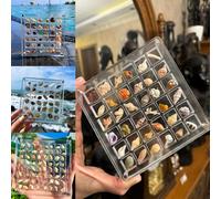 LUMOOM Scatola di visualizzazione magnetica in acrilico, conchiglia trasparente, display Shelly, organizzatore in acrilico Seashell per perle, gioielli e conchiglie (36 scomparti)