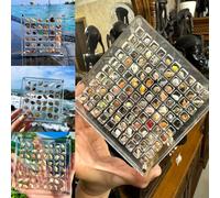 LUMOOM Scatola di visualizzazione magnetica in acrilico, conchiglia trasparente, display Shelly, organizzatore in acrilico Seashell per perline, gioielli e conchiglie (100 scomparti)