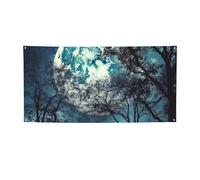 luna blu Banner e segni per esterni interni decorazione per feste Banner personalizzato con occhielli sfondo compleanno segno poster sfondo foto sfondo per eventi di nozze medio