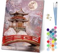Luna Dipingere con i Numeri Adulti con Telaio, Dipingere con i Numeri Architettura, Fai da te Paint by Numbers Kits con 3 Pennelli e Pigmento Acrilico, pour Decorazioni Casa Regalo 40x50cm 7-3420