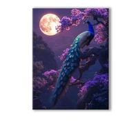 Luna Dipingi con i Numeri Adulti Pavone Paint by Numbers, Colorare con i Numeri Adulti con Telaio, Kit di Pittura Acrilica Fai da Te per Principianti Facile su Tela, Decora la Casa 40x50cm 0R-808