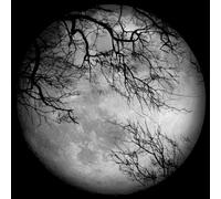 Luna Sea - Luna Sea [+Bonus DVD] [Import]