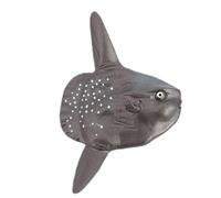 luna simulata: figura di animali marini realistici, accento di accento domestico | Interni in stile costiero della scena 'acquario, modello dettagliato di pesce marino per attività educative, j