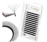Lunamoon 6D Extension Ciglia W Delle Ciglia Ciuffetti W Forma Premade Fan Eyelash Extension Russian Volume Ventole Naturali Ciglia Ciuffetti (6D/0.07D 12mm)