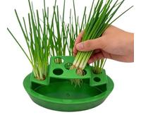 Lunaobrik Scallion Planter Indoor - Hydroponic Vegetable Pot, Onion Growing Container | Scallion Vegetable Regrow Planting Windowsill Counter Balcony