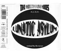 Lunatic Asylum - Meltdown mixes (5 tracks, 1993)