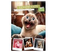 LUNATIC CATS Enjoy hilarious and wacky sayings (Wall Calendar 2026 DIN A3 portrait), CALVENDO 12 Month Wall Calendar: Ironic furry friends with amusing quips