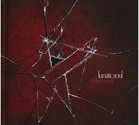 Lunatic Soul - Fractured