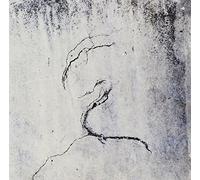 Lunatic Soul Impressions (Vinyl LP)