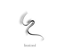 Lunatic Soul Lunatic Soul II (CD) Album